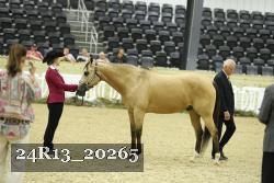 24R13_20265 thumbnail
