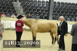 24R13_20266 thumbnail