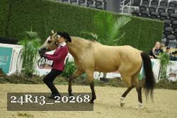 24R13_20268 thumbnail