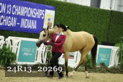 24R13_20269 thumbnail