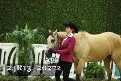 24R13_20272 thumbnail