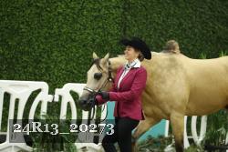 24R13_20273 thumbnail