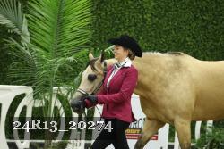 24R13_20274 thumbnail