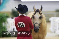 24R13_20275 thumbnail