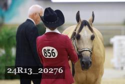 24R13_20276 thumbnail