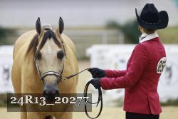 24R13_20277 thumbnail