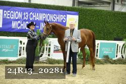 24R13_20281 thumbnail