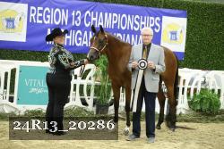 24R13_20286 thumbnail