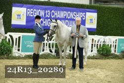 24R13_20289 thumbnail