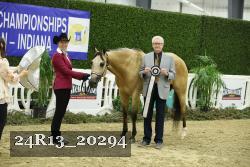 24R13_20294 thumbnail