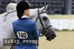 24R13_20295 thumbnail