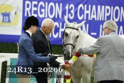 24R13_20296 thumbnail