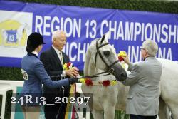 24R13_20297 thumbnail