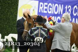 24R13_20304 thumbnail