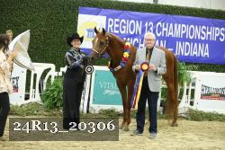 24R13_20306 thumbnail