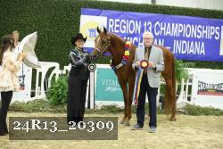 24R13_20309 thumbnail