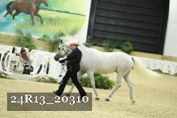 24R13_20310 thumbnail