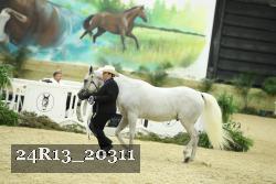 24R13_20311 thumbnail