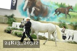24R13_20312 thumbnail