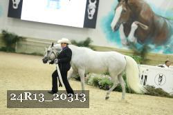 24R13_20313 thumbnail