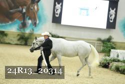 24R13_20314 thumbnail