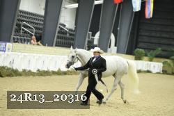 24R13_20316 thumbnail