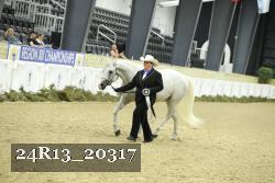 24R13_20317 thumbnail