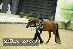 24R13_20320 thumbnail