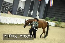 24R13_20321 thumbnail