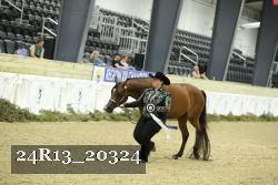 24R13_20324 thumbnail