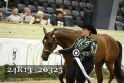 24R13_20325 thumbnail