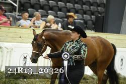 24R13_20326 thumbnail