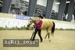24R13_20327 thumbnail