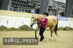 24R13_20329 thumbnail