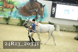 24R13_20331 thumbnail
