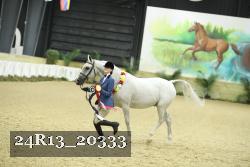 24R13_20333 thumbnail