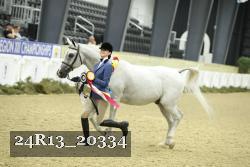 24R13_20334 thumbnail