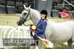 24R13_20337 thumbnail