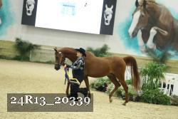 24R13_20339 thumbnail