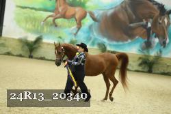 24R13_20340 thumbnail