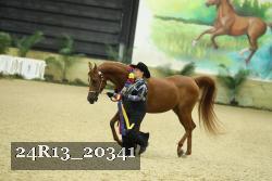 24R13_20341 thumbnail