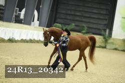 24R13_20342 thumbnail