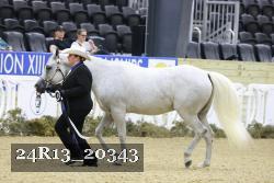24R13_20343 thumbnail