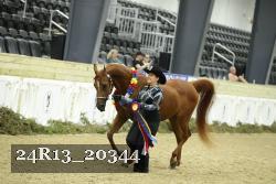 24R13_20344 thumbnail