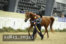 24R13_20345 thumbnail