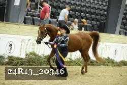 24R13_20346 thumbnail
