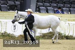24R13_20348 thumbnail
