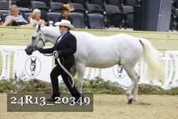 24R13_20349 thumbnail