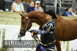 24R13_20350 thumbnail