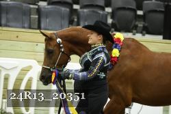24R13_20351 thumbnail